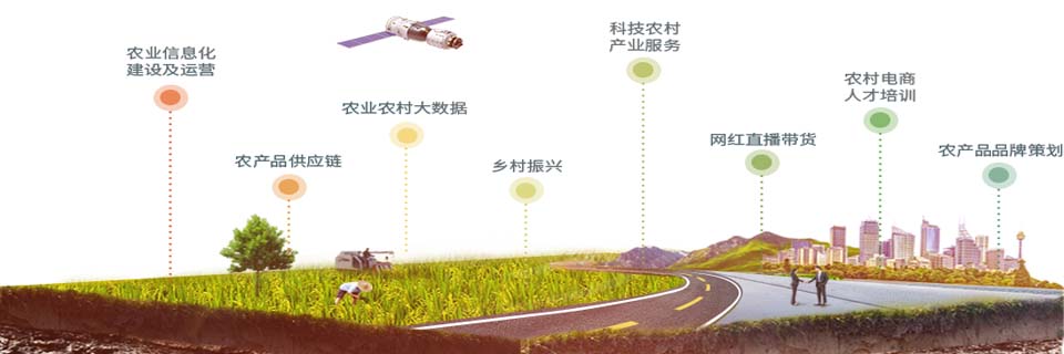 数字乡村
