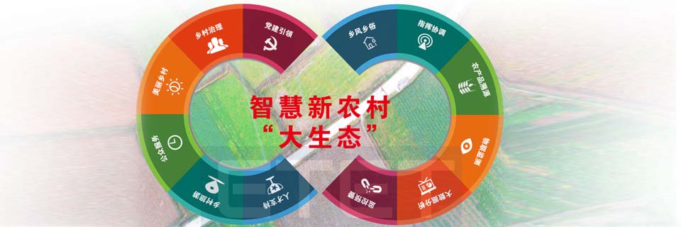 数字乡村